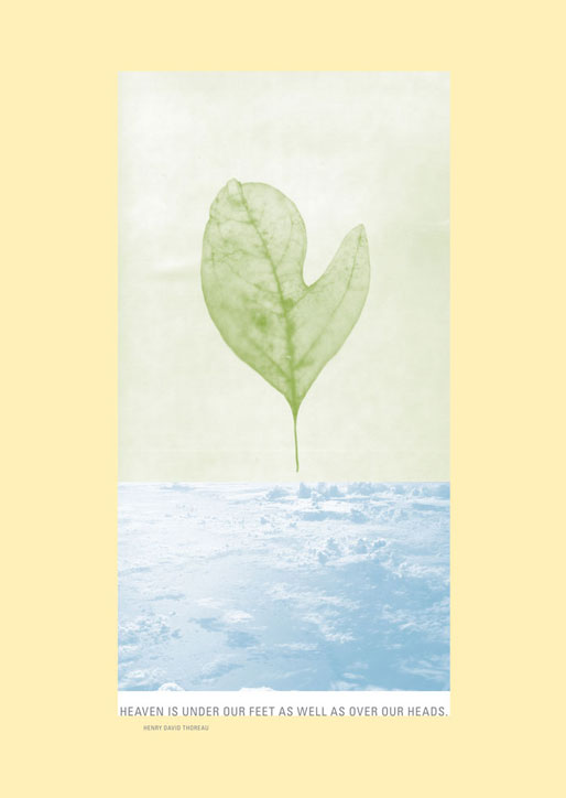 poster with leaf and clouds
